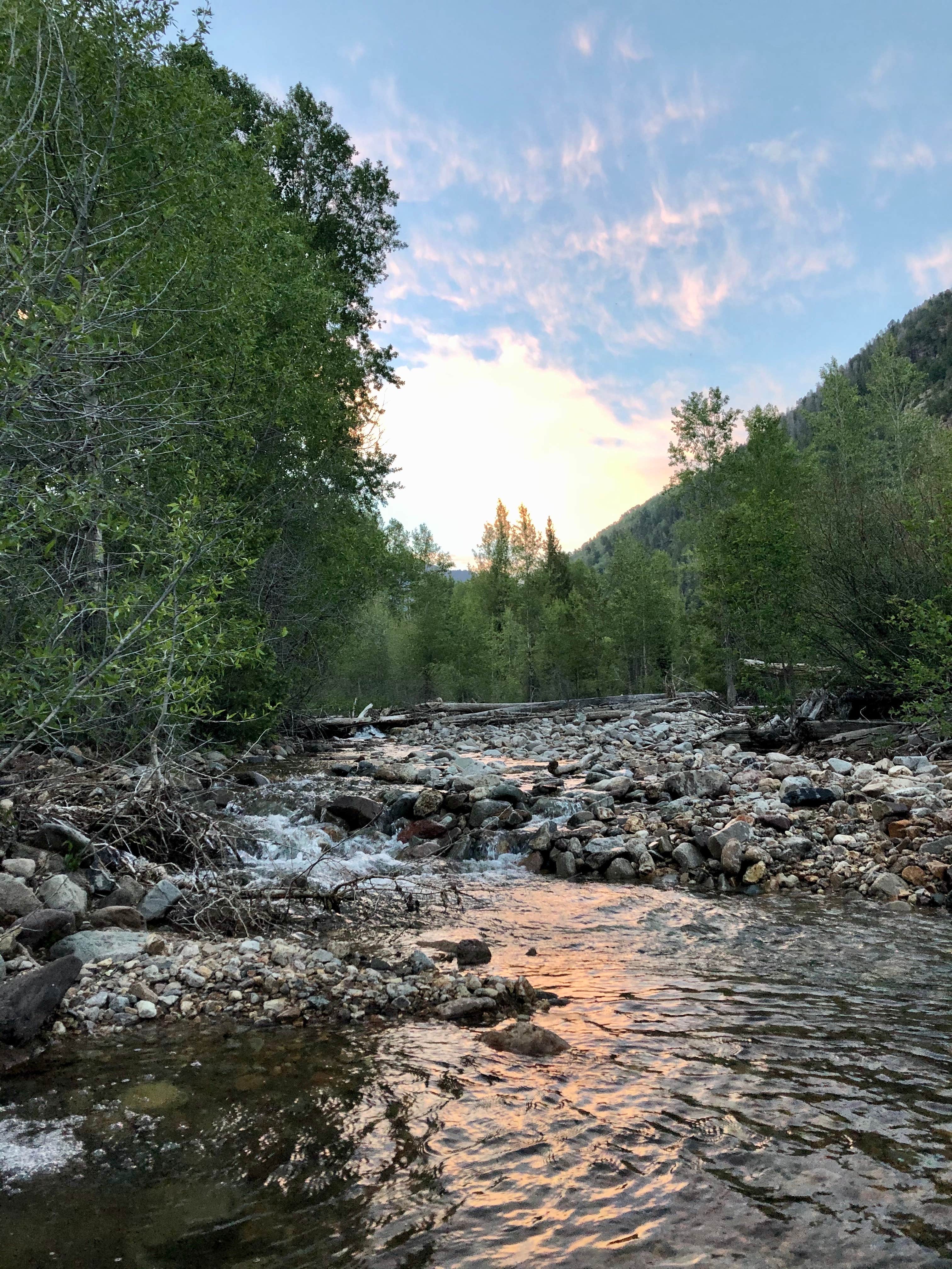 Camper submitted image from Snowslide Campground - 5