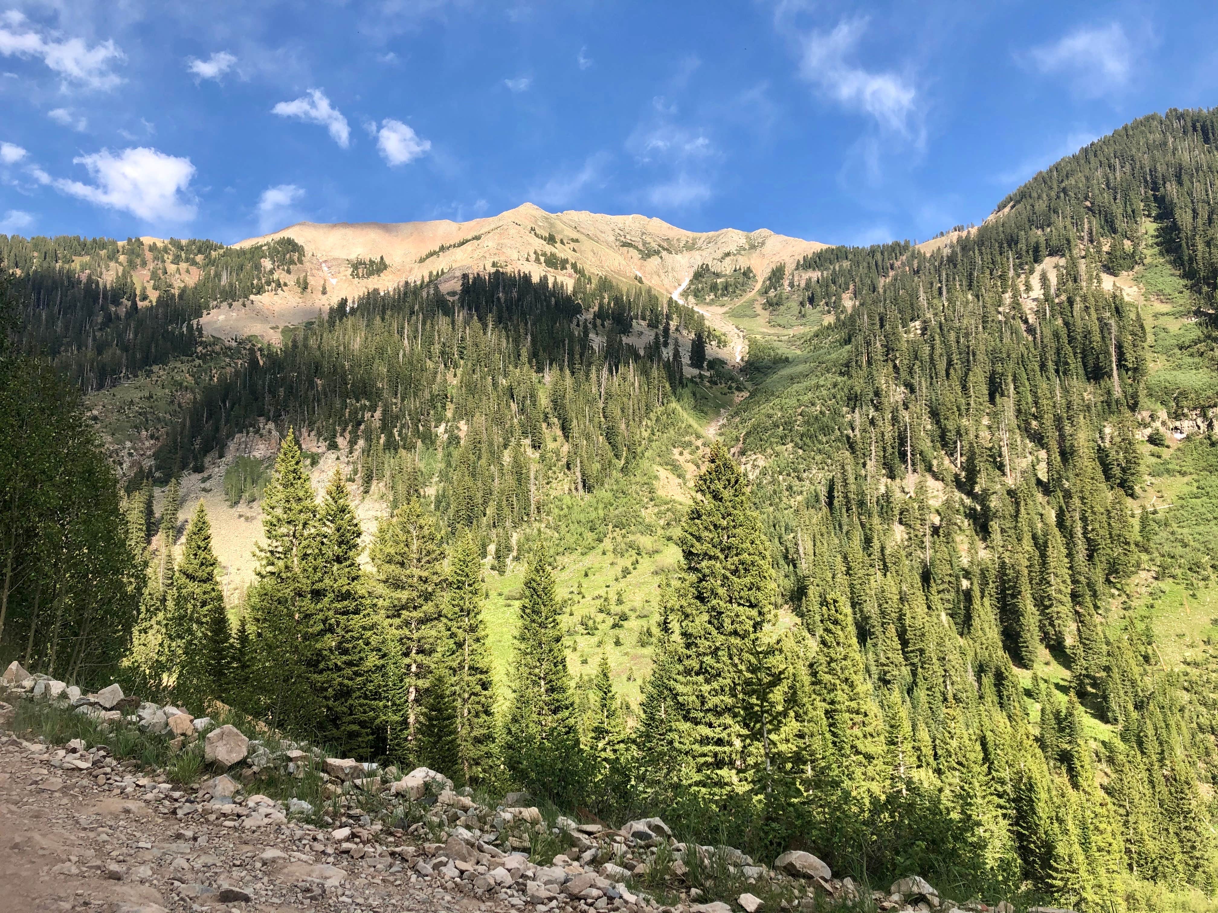 Camper-submitted photo at Snowslide Campground near Hesperus, CO