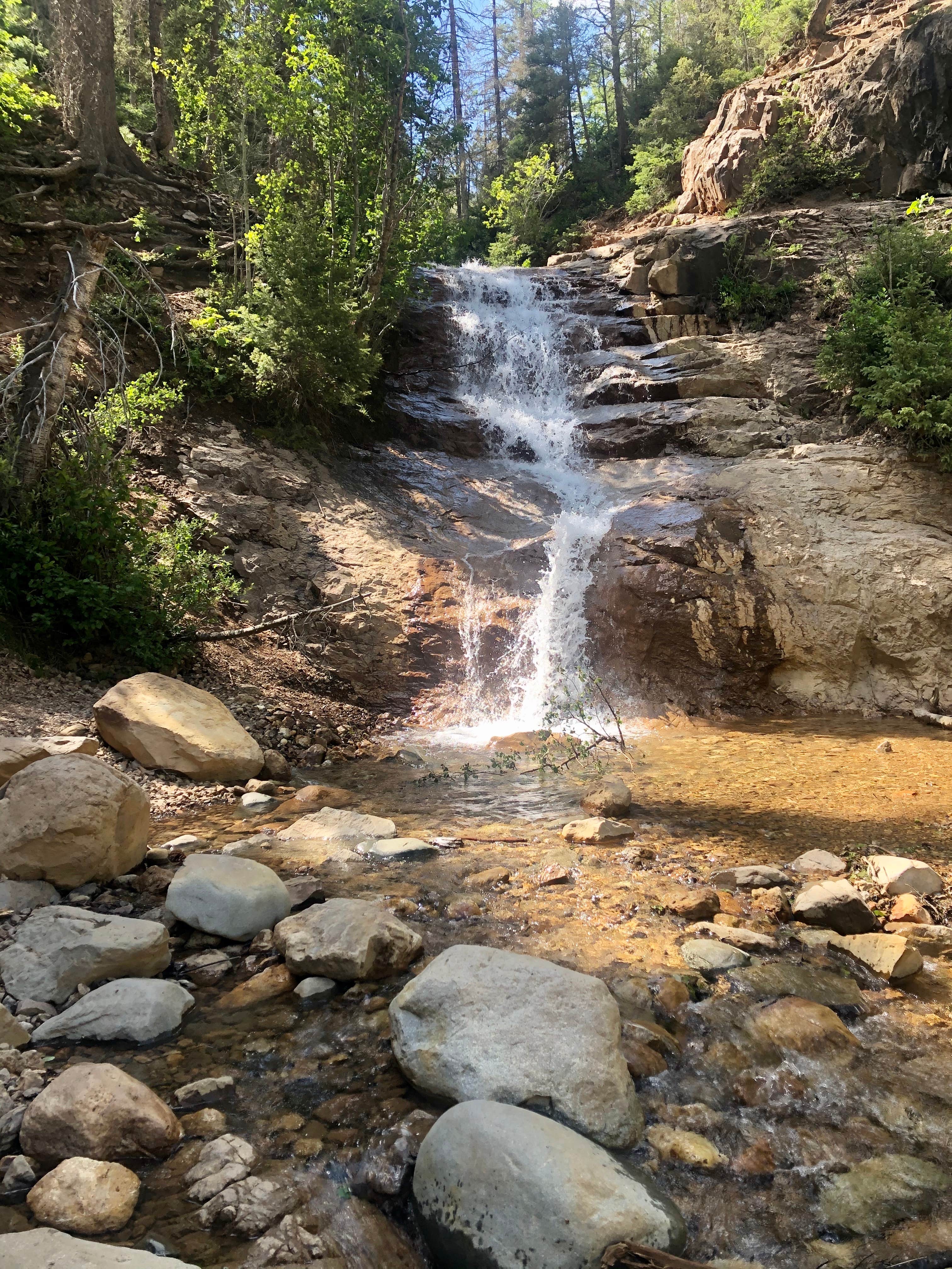 Camper-submitted photo at Snowslide Campground near Hesperus, CO