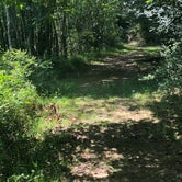 Review photo of Indian Creek Campground by Tara L., June 25, 2020