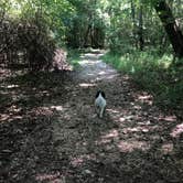 Review photo of Indian Creek Campground by Tara L., June 25, 2020