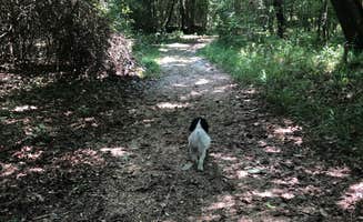 Tara L.'s photo of camping with pets at Indian Creek Campground near Denham Springs, LA