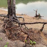 Review photo of Delmoe Lake by marycatmathis  .., June 25, 2020