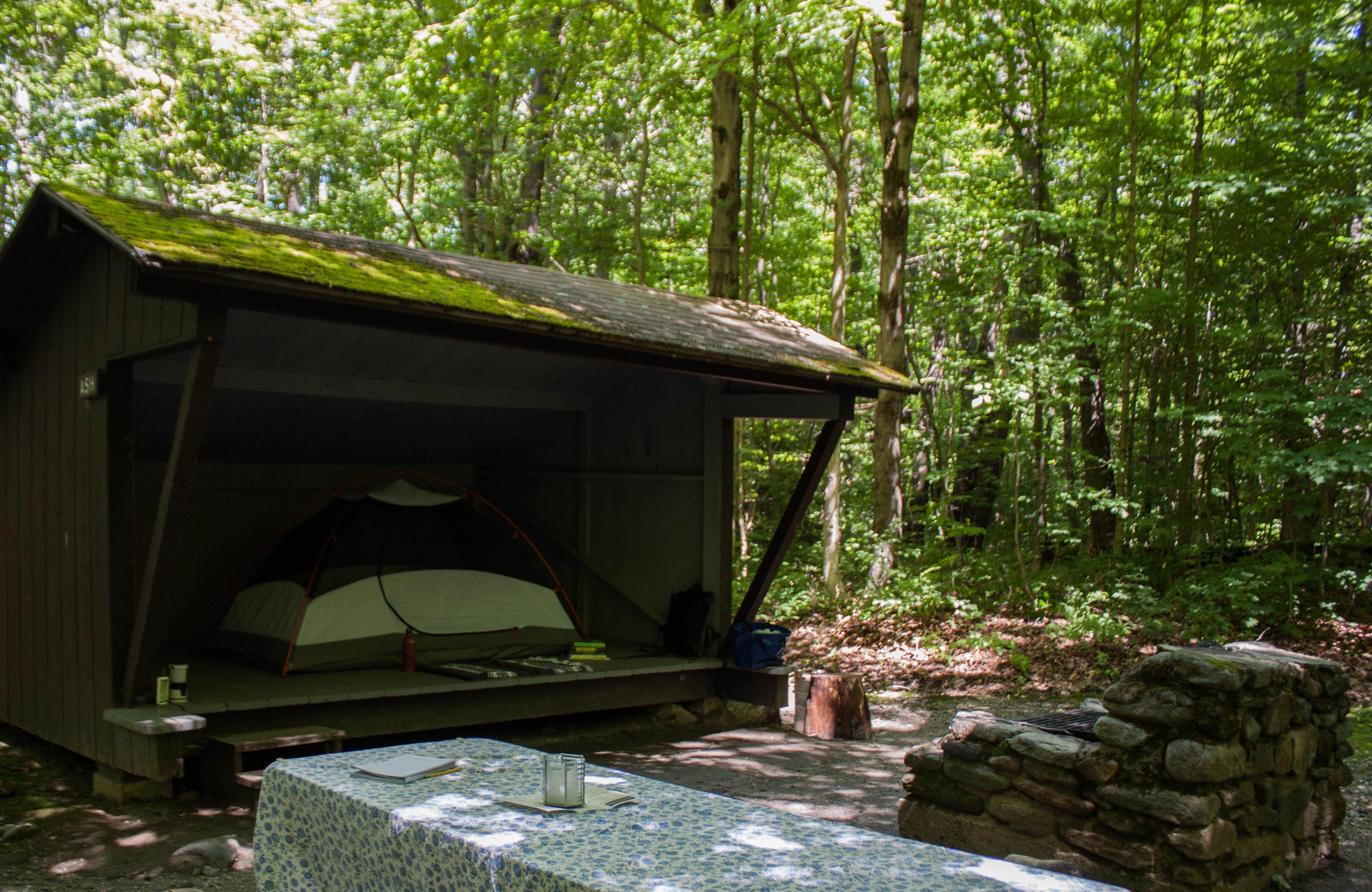 Tara S.'s photo at Molly Stark State Park Campground near West Dover, VT