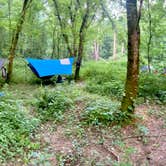 Review photo of Red River Gorge Campground by Wayne H., June 25, 2020