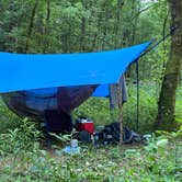 Review photo of Red River Gorge Campground by Wayne H., June 25, 2020