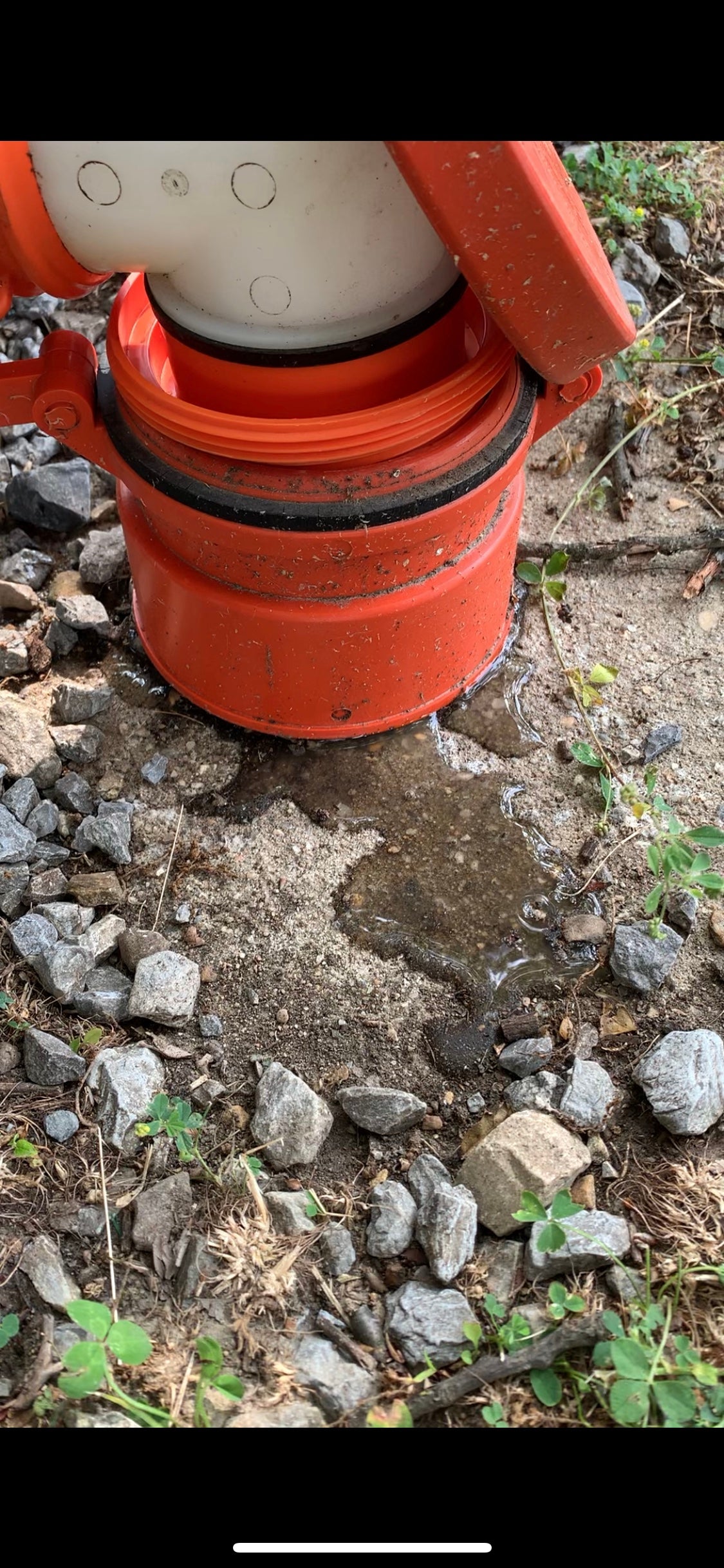 sewer pipe leaking, this was a large gross puddle by the time we were done dumping our tank.  We notified the campground of this and even showed them video and they did nothing, management wouldn't even call me or stop by to respond to me.