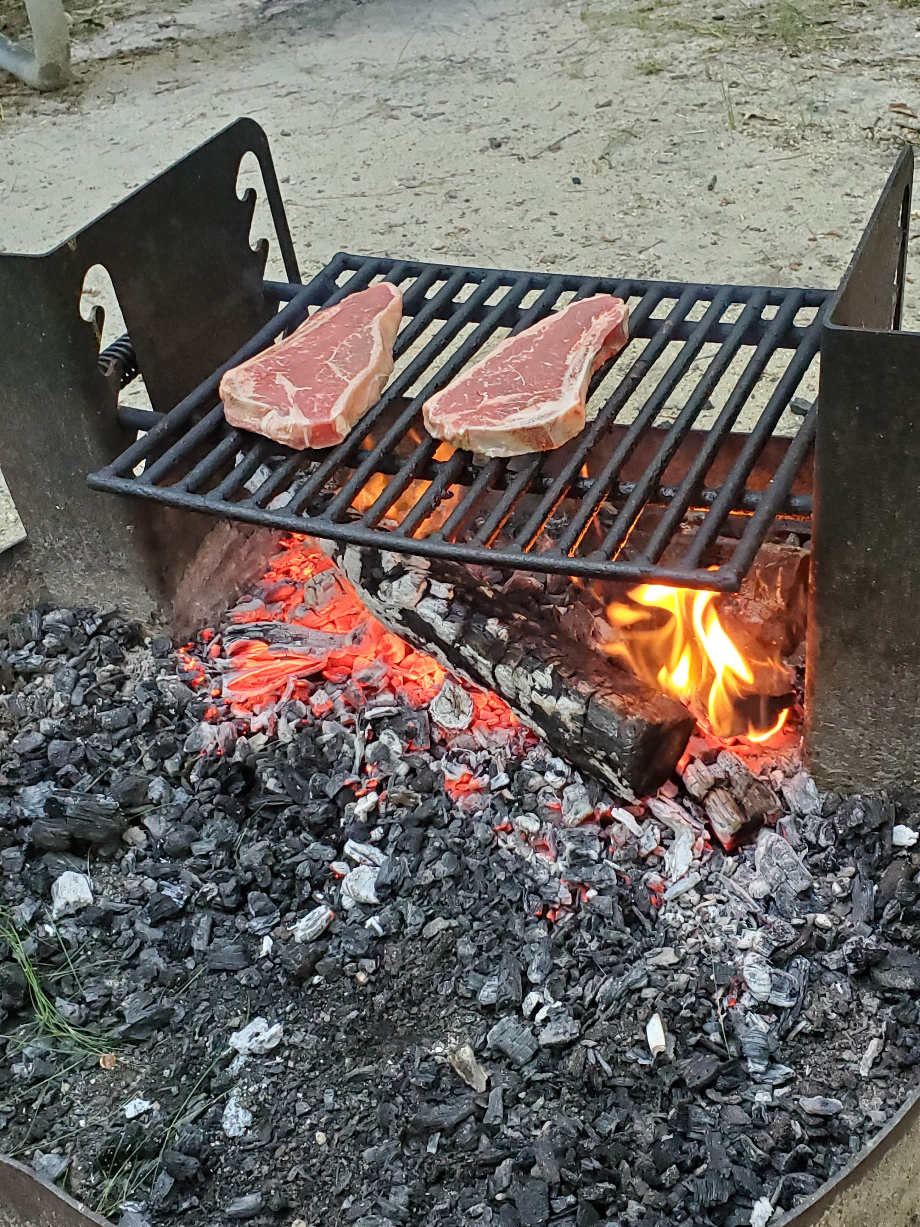 Camper-submitted photo at Turkey Swamp Park near Lacey, NJ