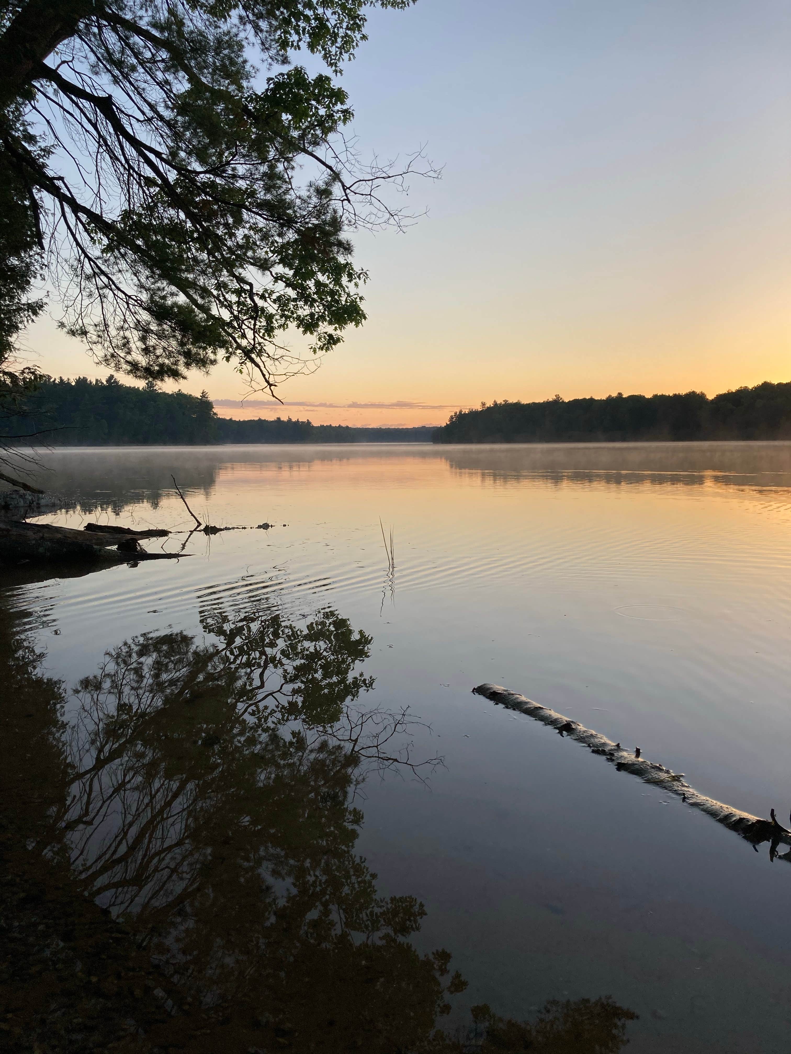 Camper submitted image from Au Sable River Primitive Camping - 4