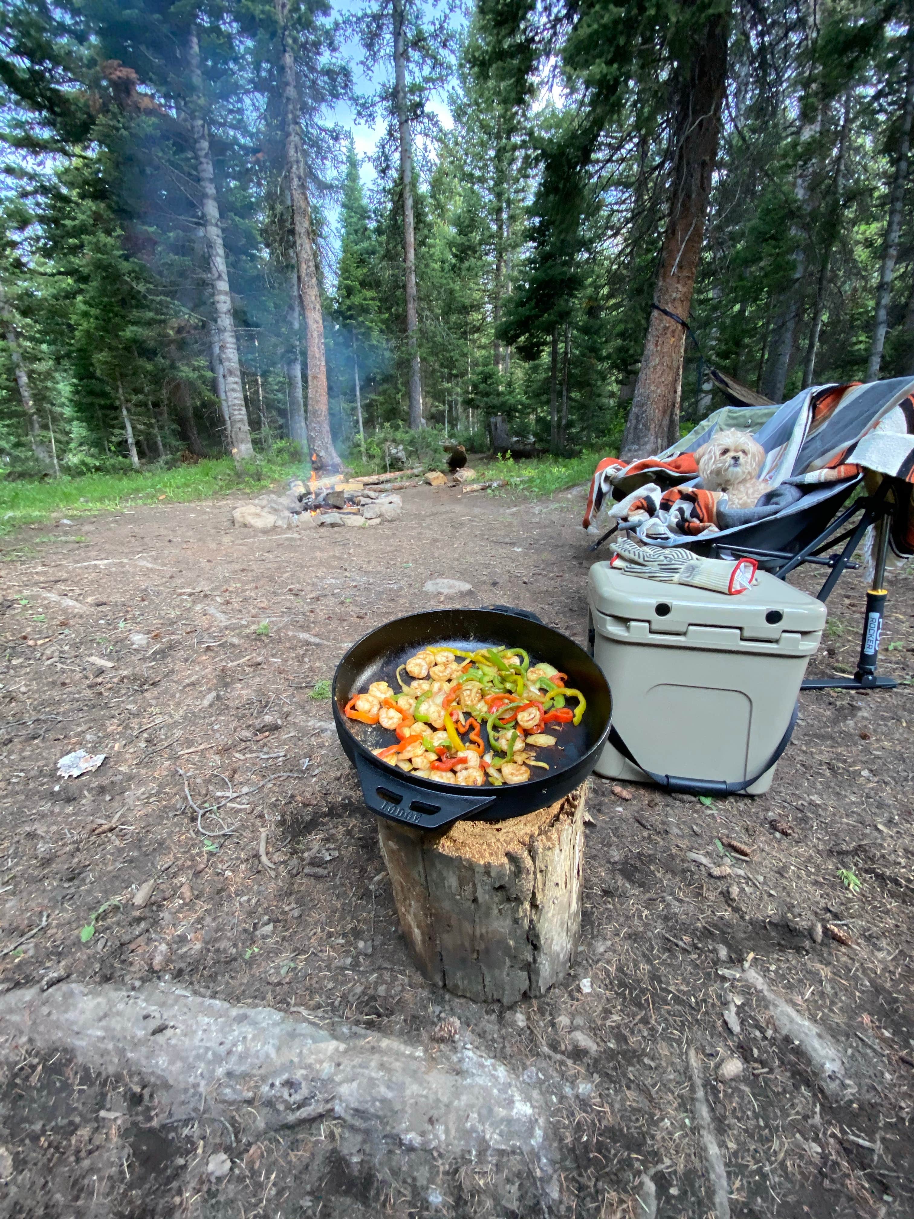 Spencer B.'s photo at Vaughan Lake Campground near Hayden, CO