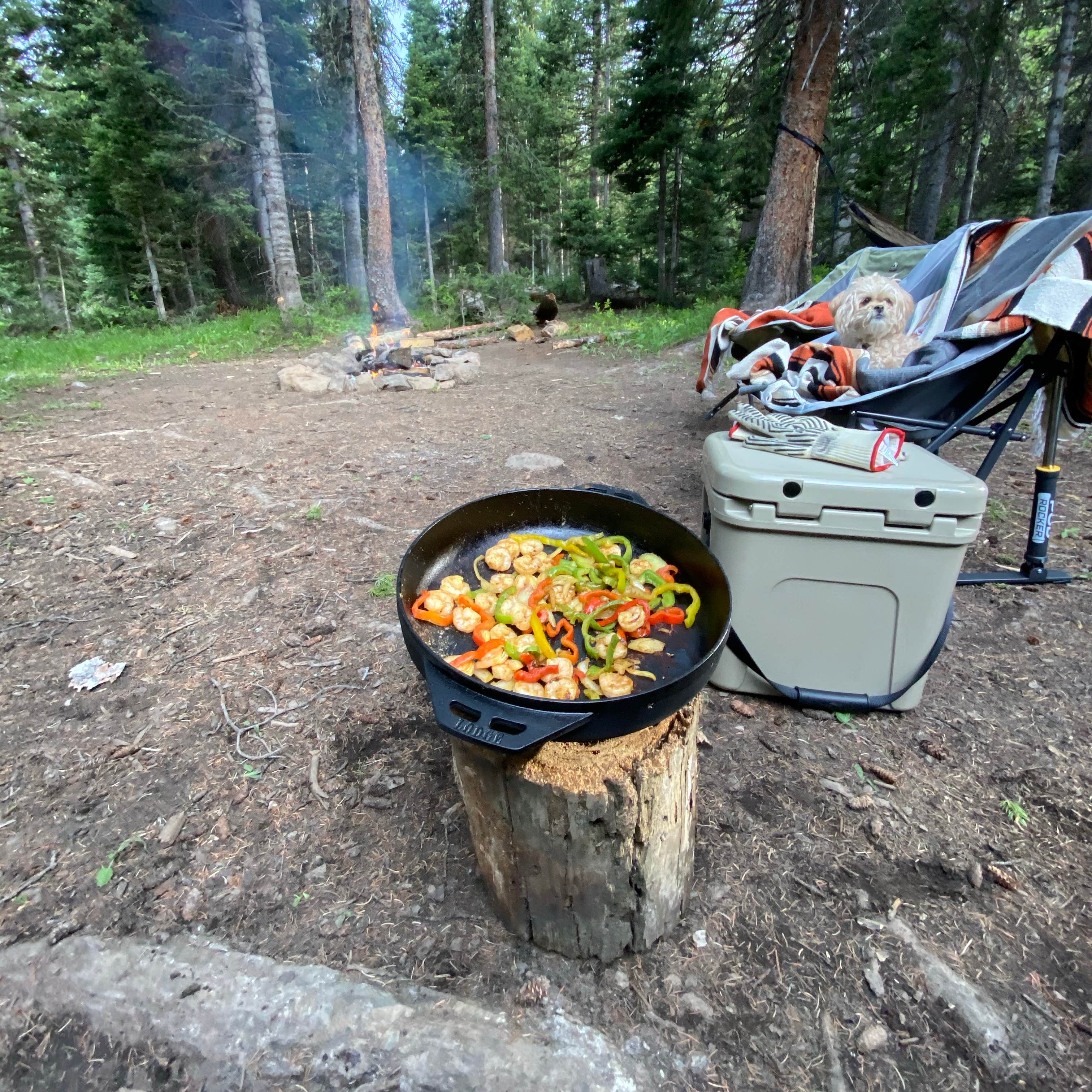 Vaughn Lake Campground Camping The Dyrt