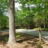 Review photo of Fort Yargo State Park Campground by Nancy W., June 25, 2020