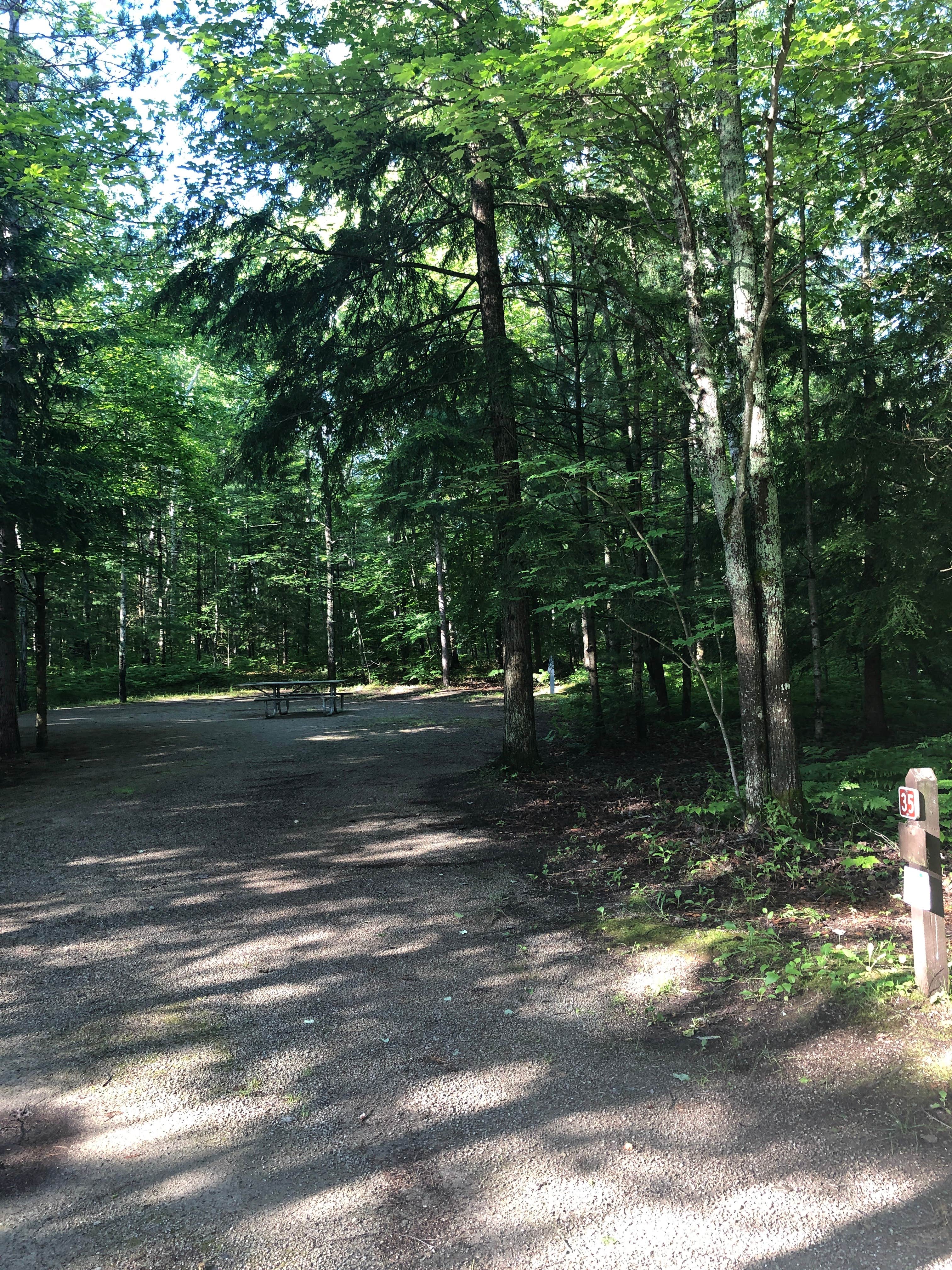 Camper submitted image from Camp Seven Lake Campground - 3