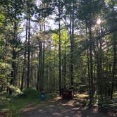 Review photo of Camp Seven Lake Campground by Joie V., June 25, 2020