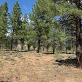 Review photo of Tom Best Spring Road FR117 Dispersed - Dixie National Forest by Greg R., June 25, 2020