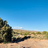 Review photo of Willow Springs Trail by Greg R., June 25, 2020