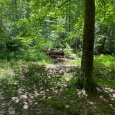 Review photo of Chinnabee Silent Trail Backcountry Site 2 by Asher K., June 26, 2020