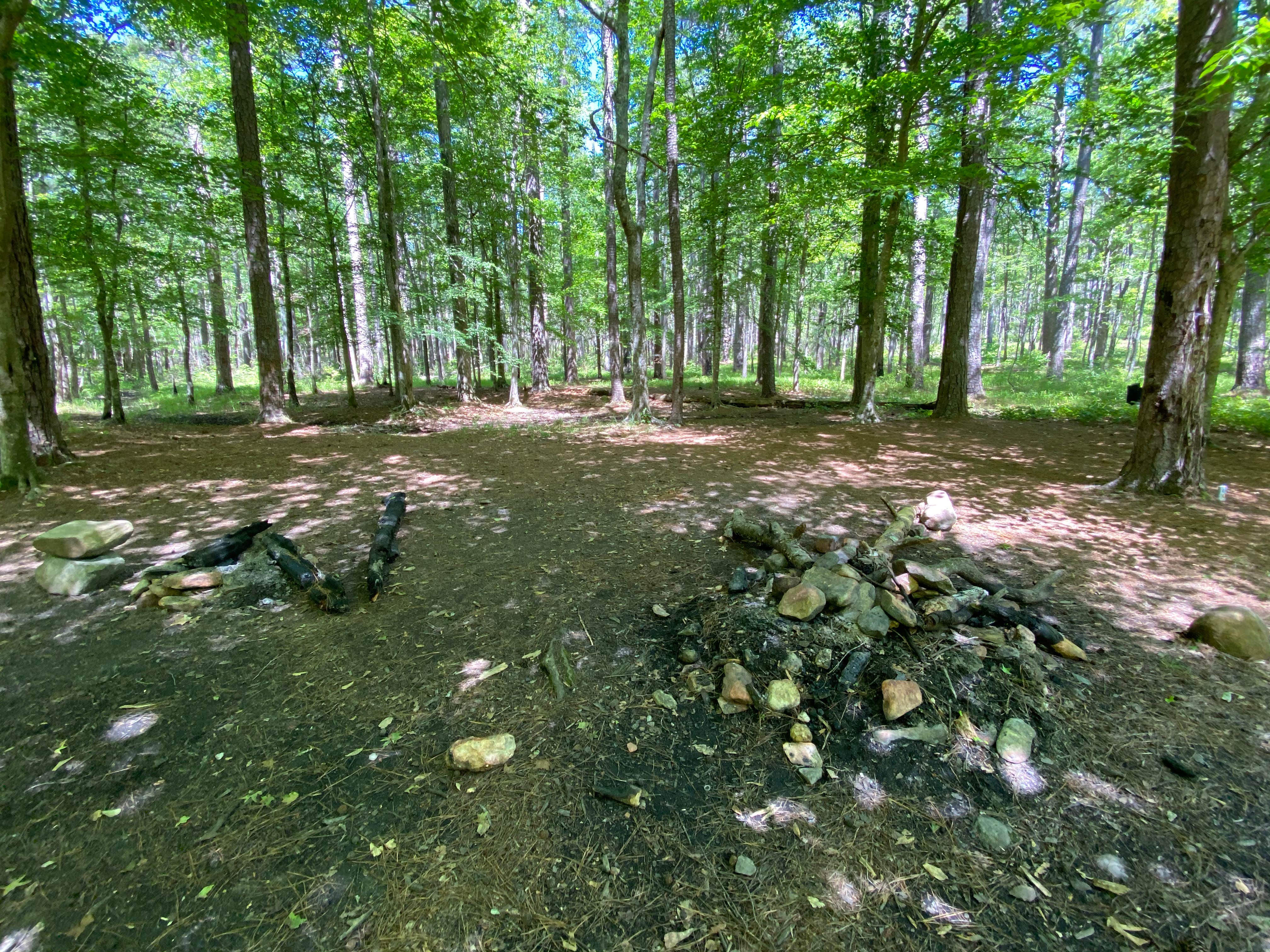 Camper-submitted photo at Chinnabee Silent Trail Backcountry Site 2 near Lineville, AL