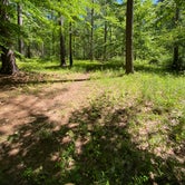 Review photo of Chinnabee Silent Trail Backcountry Site 2 by Asher K., June 26, 2020