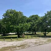 Review photo of Tipps Point Campground — Lake Murray State Park by Susan L., June 26, 2020