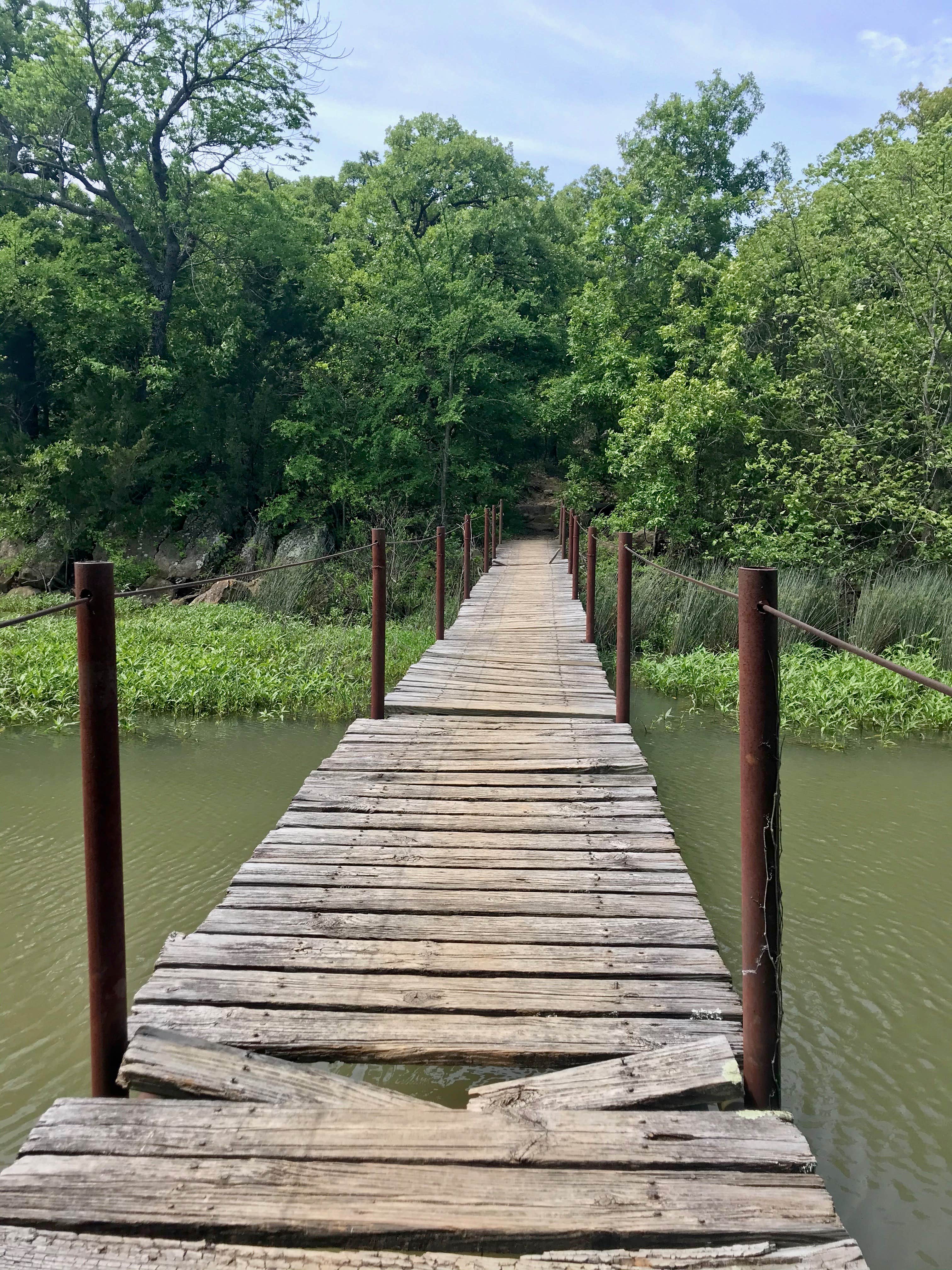 Camper submitted image from Tipps Point Campground — Lake Murray State Park - 2