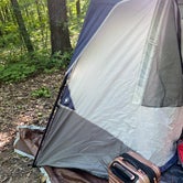 Review photo of Devils Lake State Park Campground by Chris G., June 26, 2020