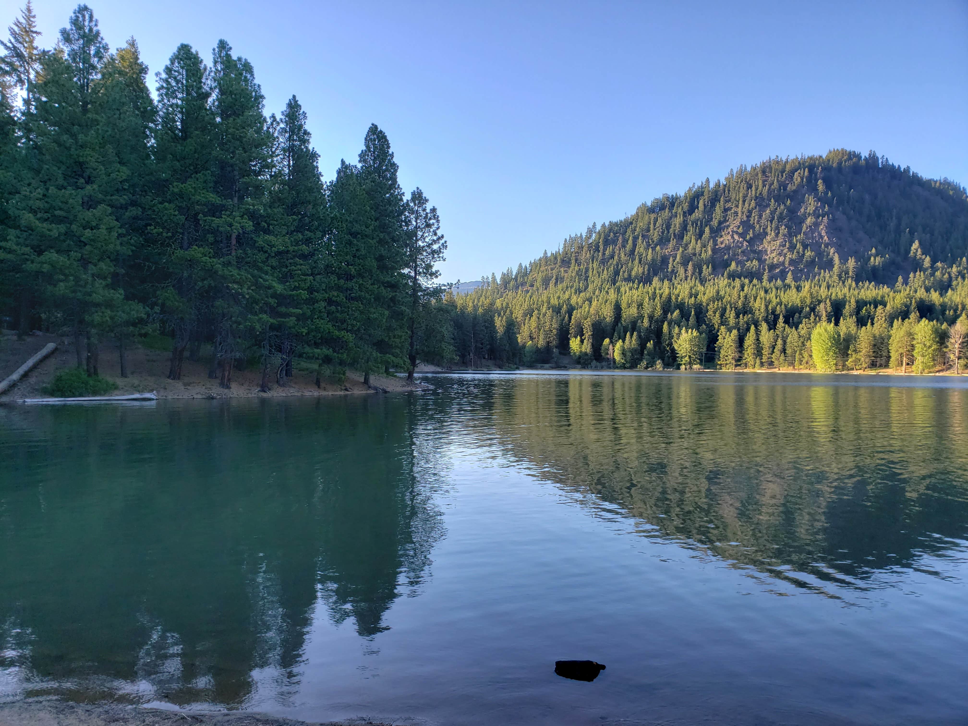 Camper-submitted photo at Peninsula / Rimrock Boat Launch near Goose Prairie, WA
