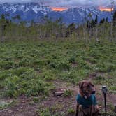 Review photo of Shadow Mountain Dispersed Camping by Cristina P., June 26, 2020