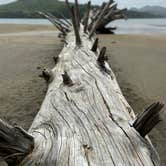 Review photo of Cannon Beach RV Resort by Vivi W., June 19, 2020