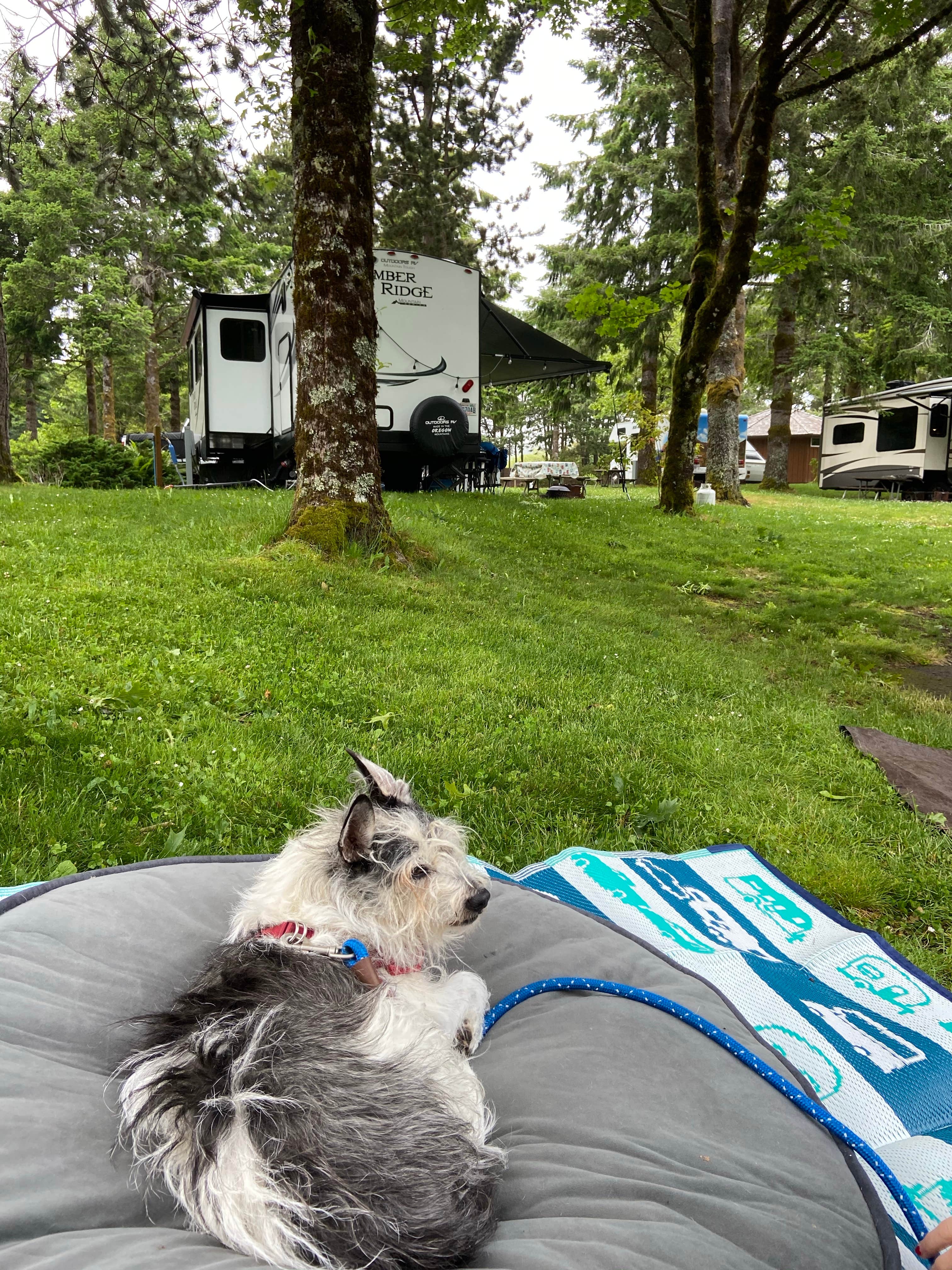Vivi W.'s photo of camping with pets at Cannon Beach RV Resort near Gearhart, OR