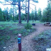 Review photo of Tusayan-Montane — Grand Canyon National Park by Jeanene A., July 2, 2016
