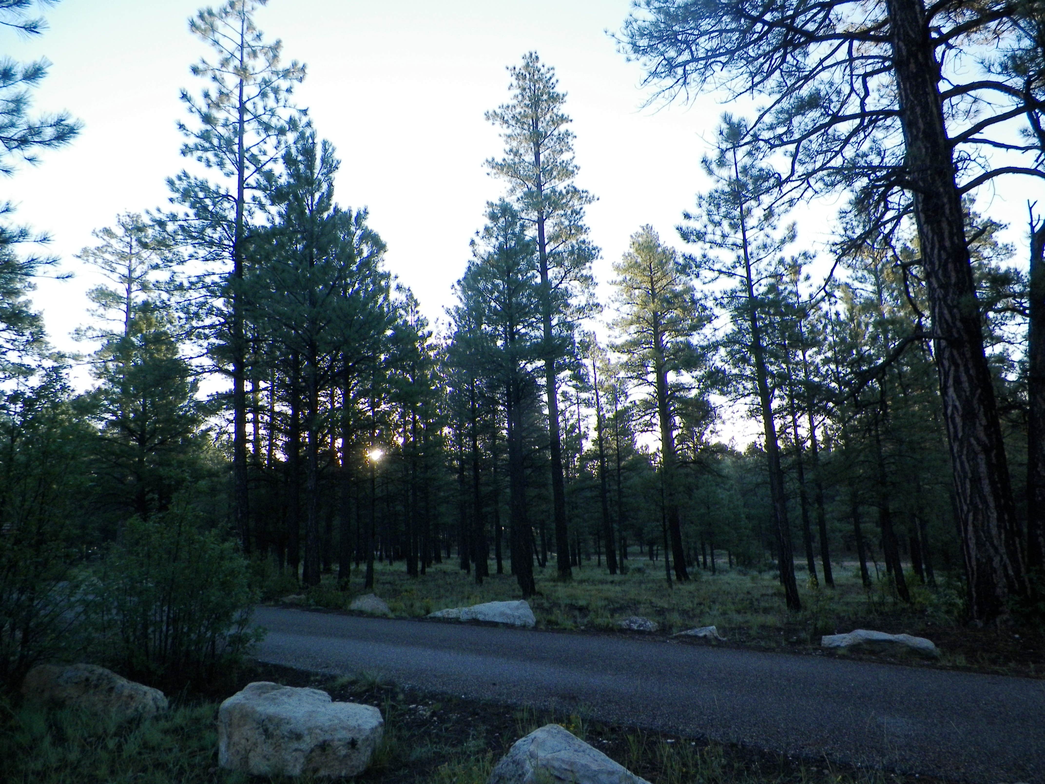 Camper-submitted photo at Tusayan-Montane — Grand Canyon National Park near Supai, AZ
