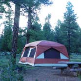 Review photo of Tusayan-Montane — Grand Canyon National Park by Jeanene A., July 2, 2016