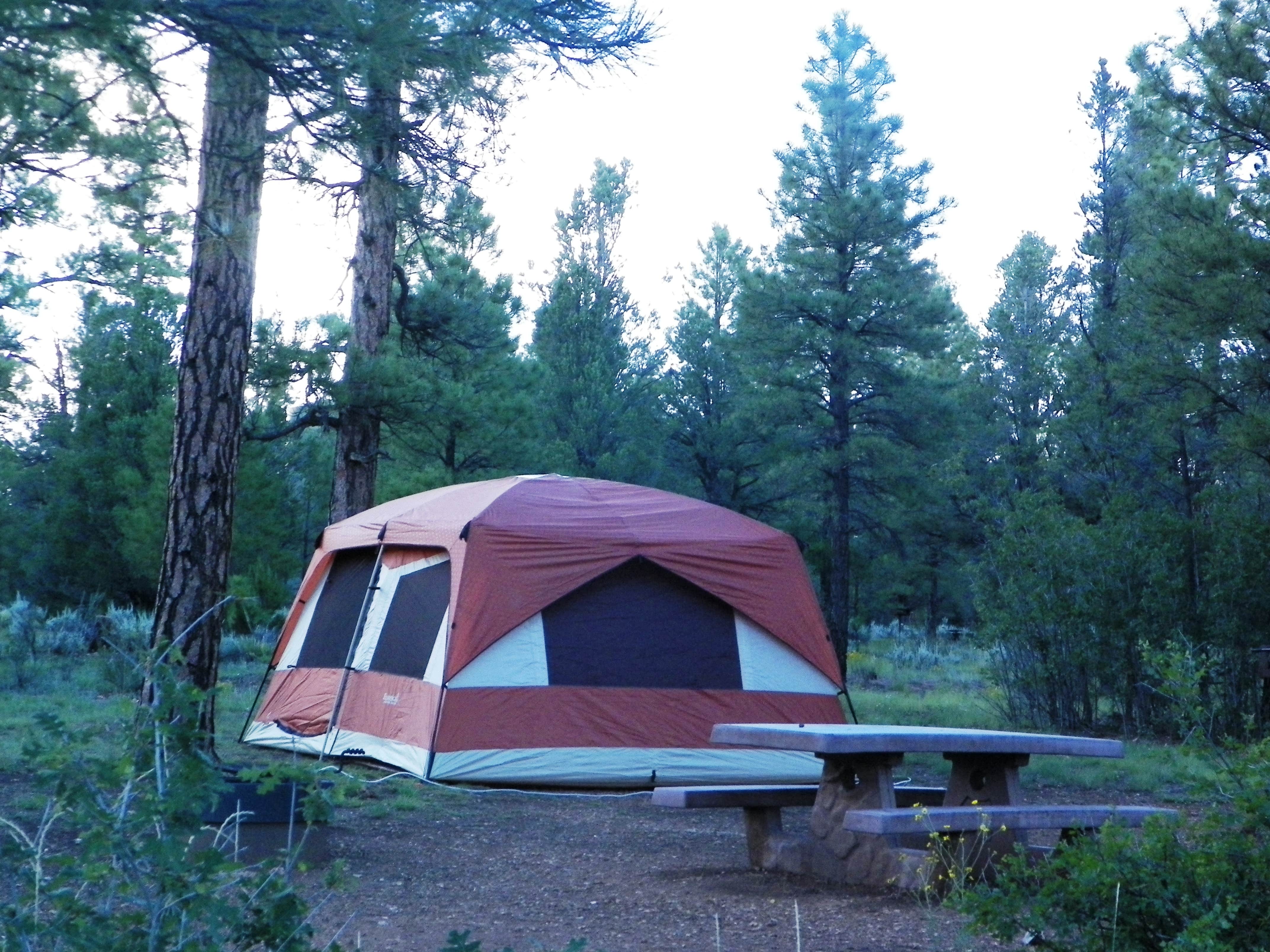 Camper submitted image from Tusayan-Montane — Grand Canyon National Park - 2