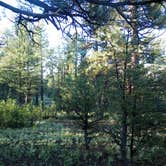 Review photo of Tusayan-Montane — Grand Canyon National Park by Jeanene A., July 2, 2016