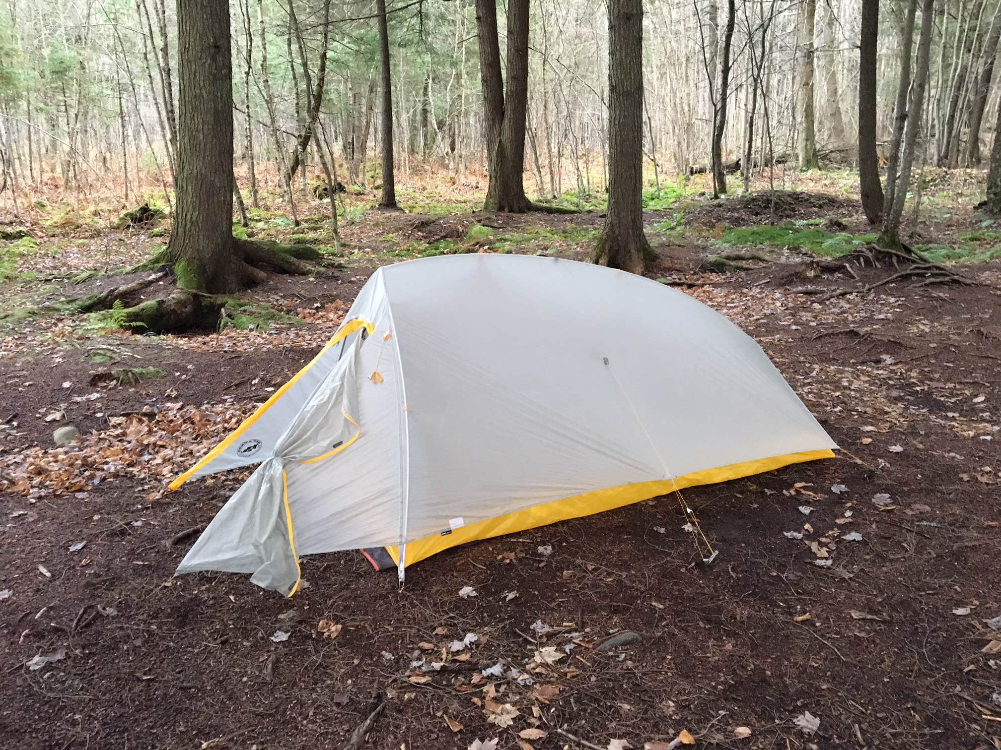 Steph H.'s photo of tent camping at Sailor Creek Campsite near Westboro, WI
