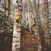 Review photo of Sailor Creek Campsite by Steph H., November 1, 2017