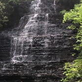 Review photo of Chilhowee Recreation Area by Beth B., July 2, 2016