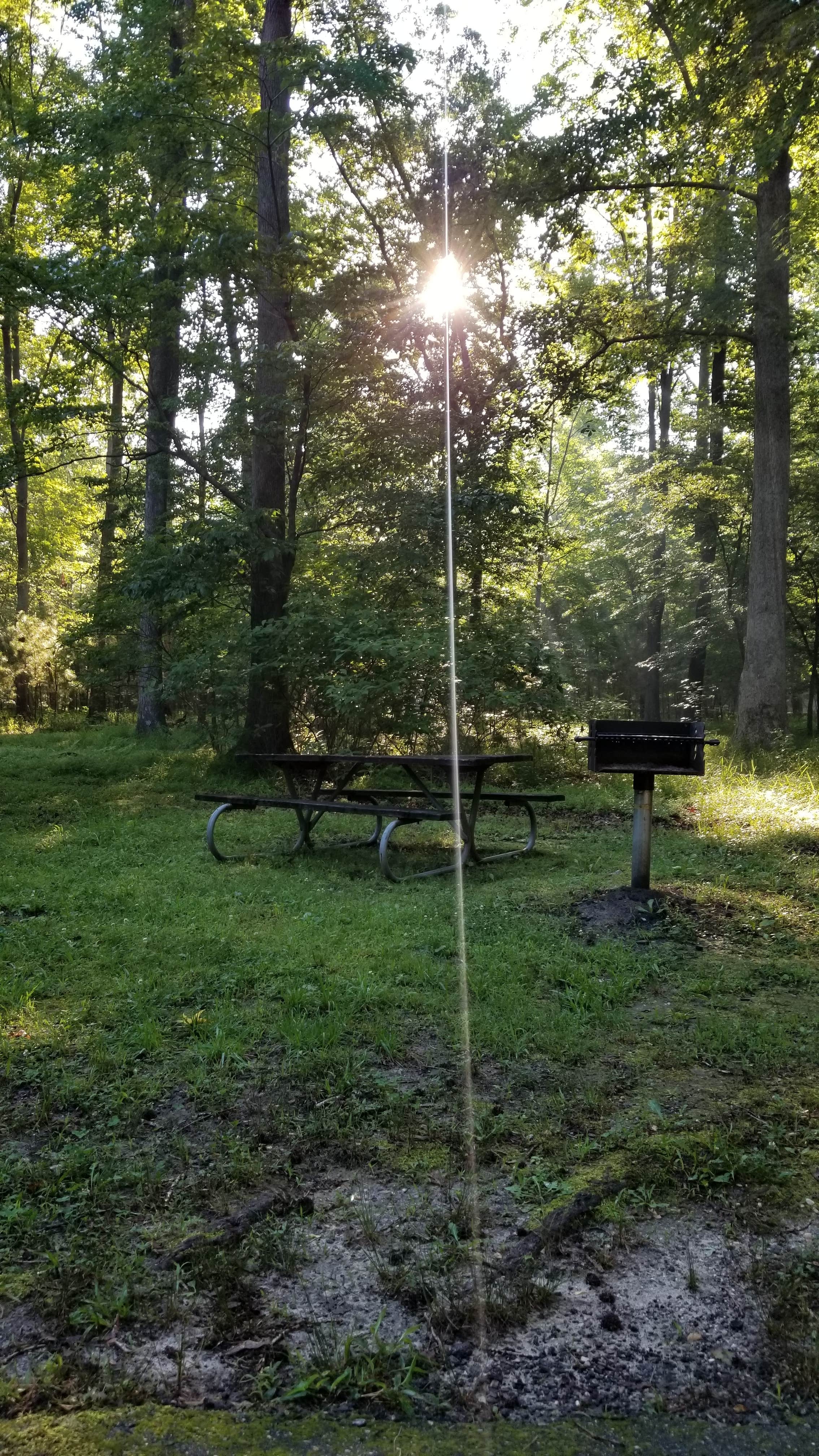 Camper-submitted photo at Newport News Park near Newport News, VA
