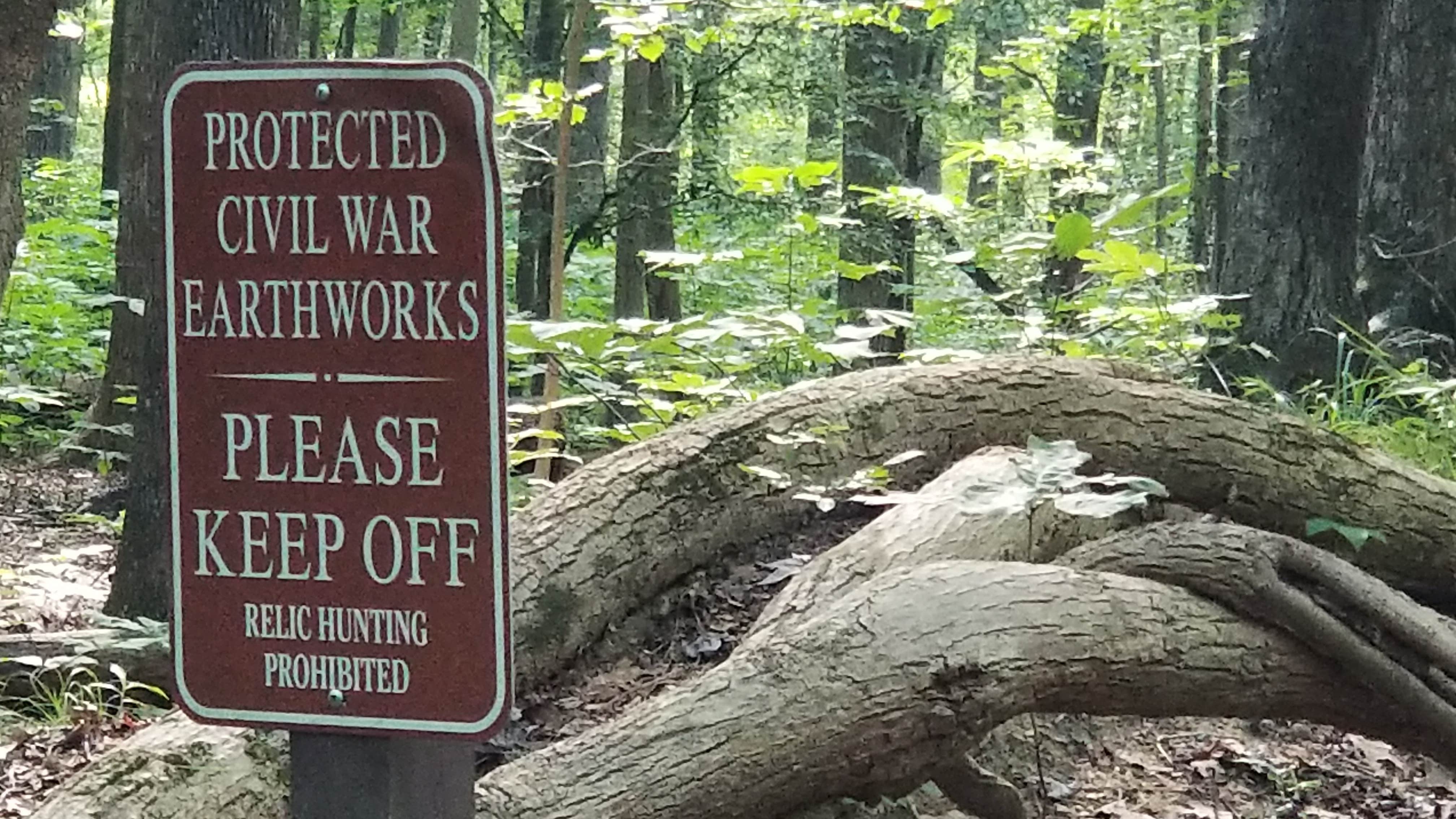 Camper submitted image from Newport News Park - 5