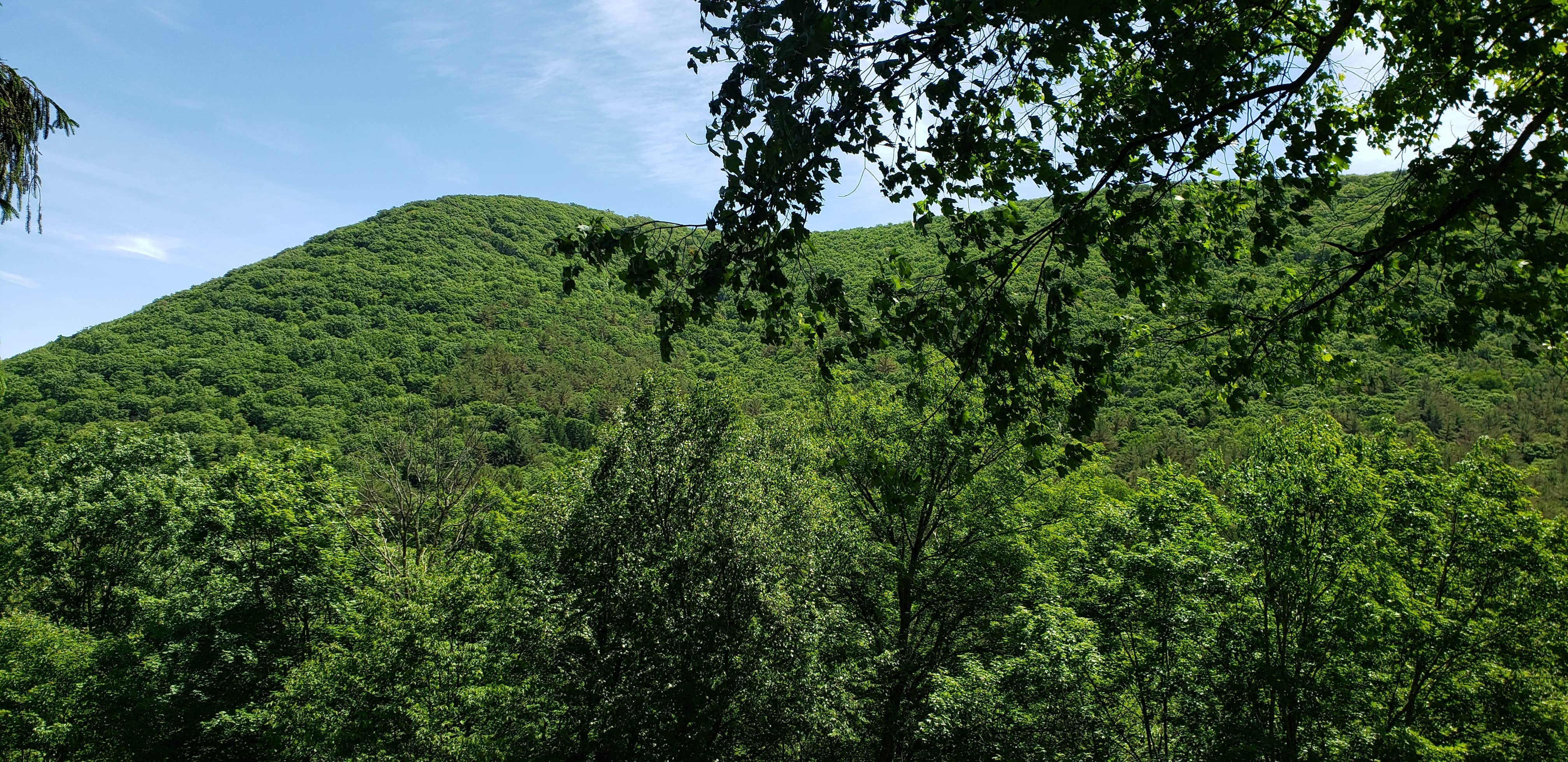 Camper-submitted photo at Ole Bull State Park Campground near Cammal, PA