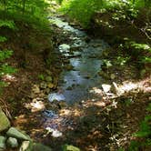 Review photo of Ole Bull State Park Campground by Alexandra P., June 26, 2020