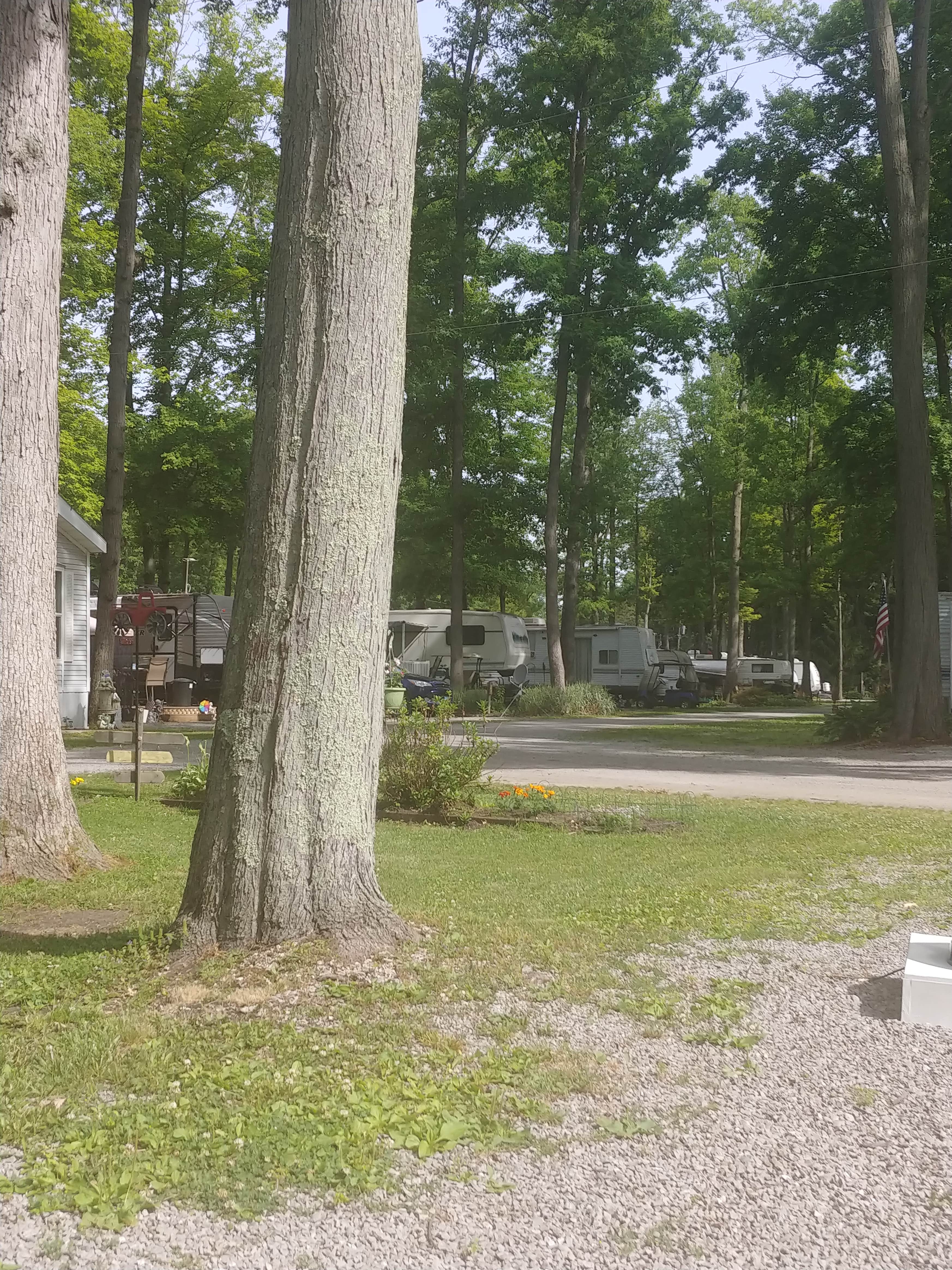 Camper-submitted photo at Twin Acres Campground near Grand Rapids, OH