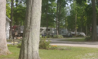Camping near The Eco Camp: Twin Acres Campground, Whitehouse, Ohio