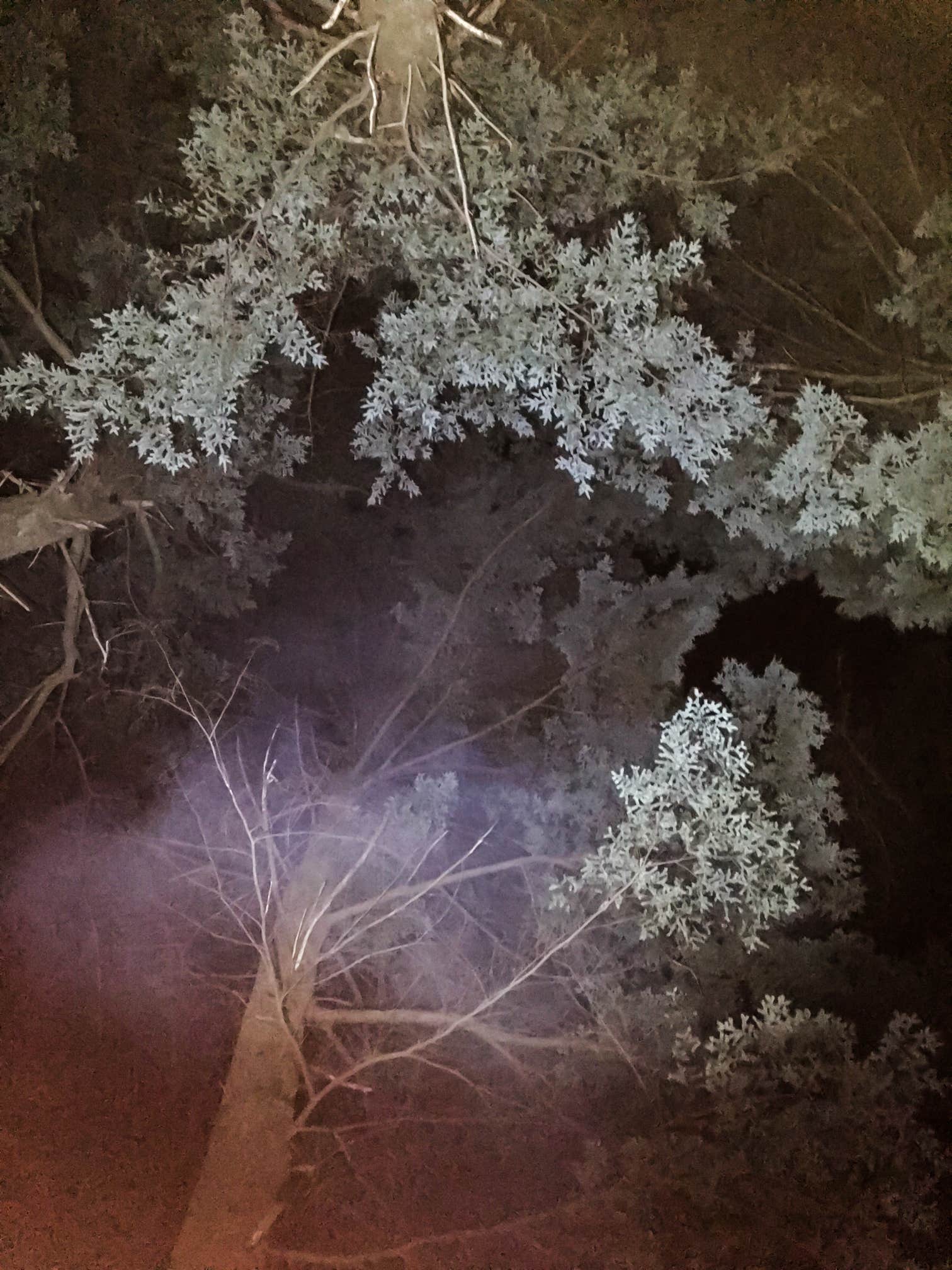 Camper-submitted photo at Sailor Creek Campsite near Westboro, WI