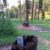 Review photo of Sheridan Lake South Shore Campground by Ason S., June 26, 2020