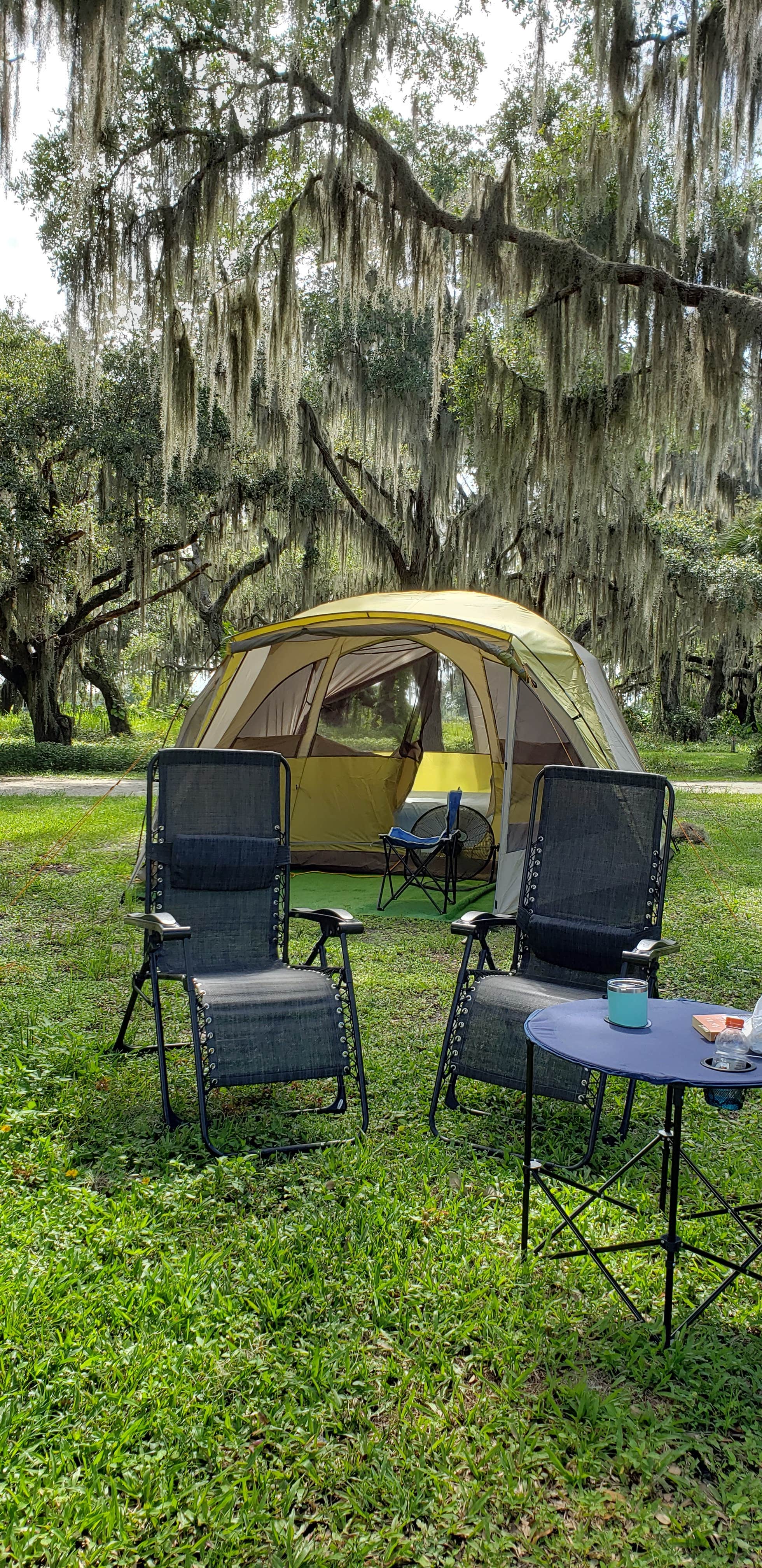 Camper submitted image from Coleman Landing at Shady Oaks - 5