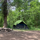 Review photo of Dispersed Camping Willow Spring (Wasatch) by Casey W., June 26, 2020
