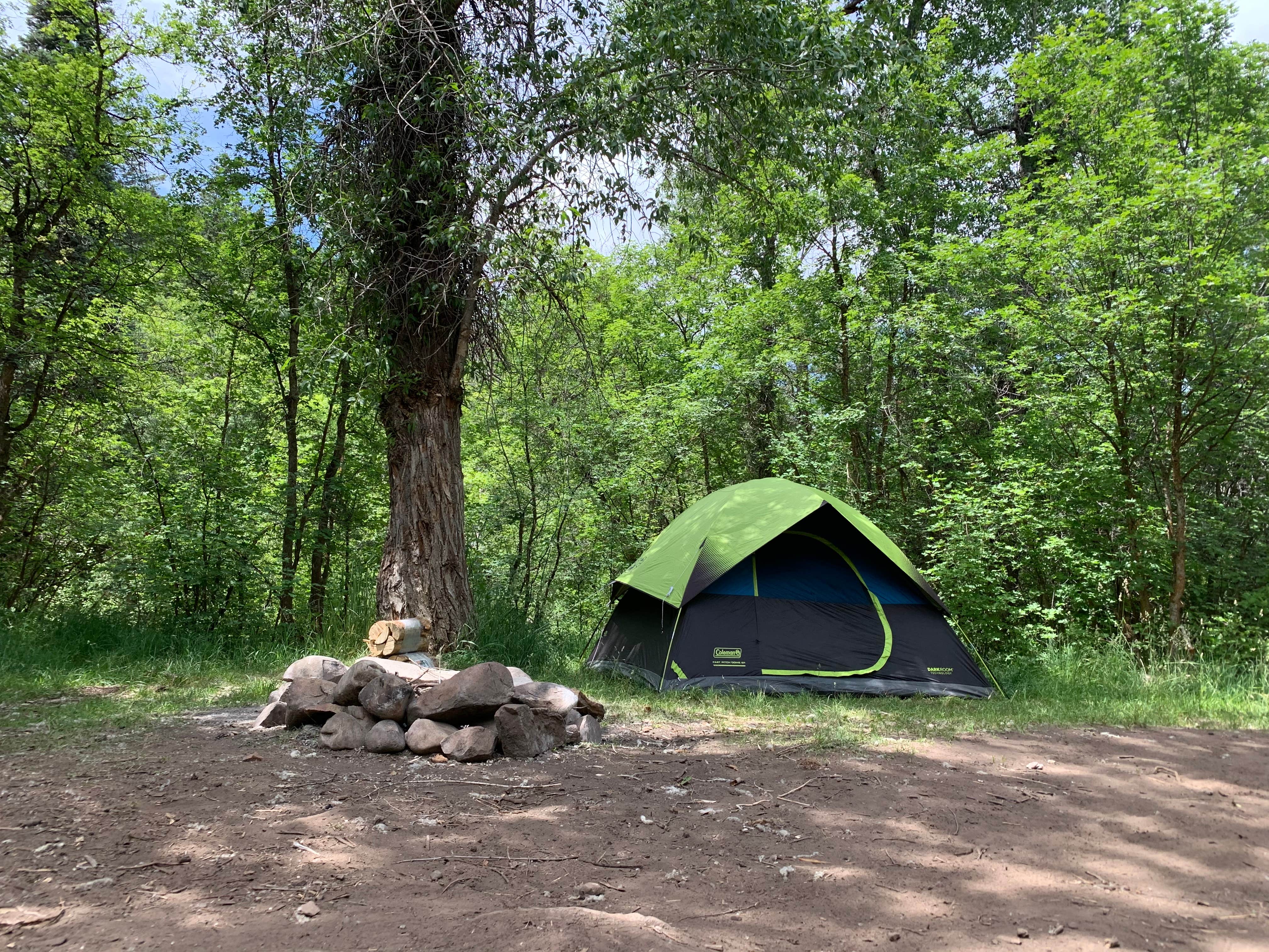 Casey W.'s photo of a dispersed camping area at Dispersed Camping Willow Spring (Wasatch) near Duchesne, UT