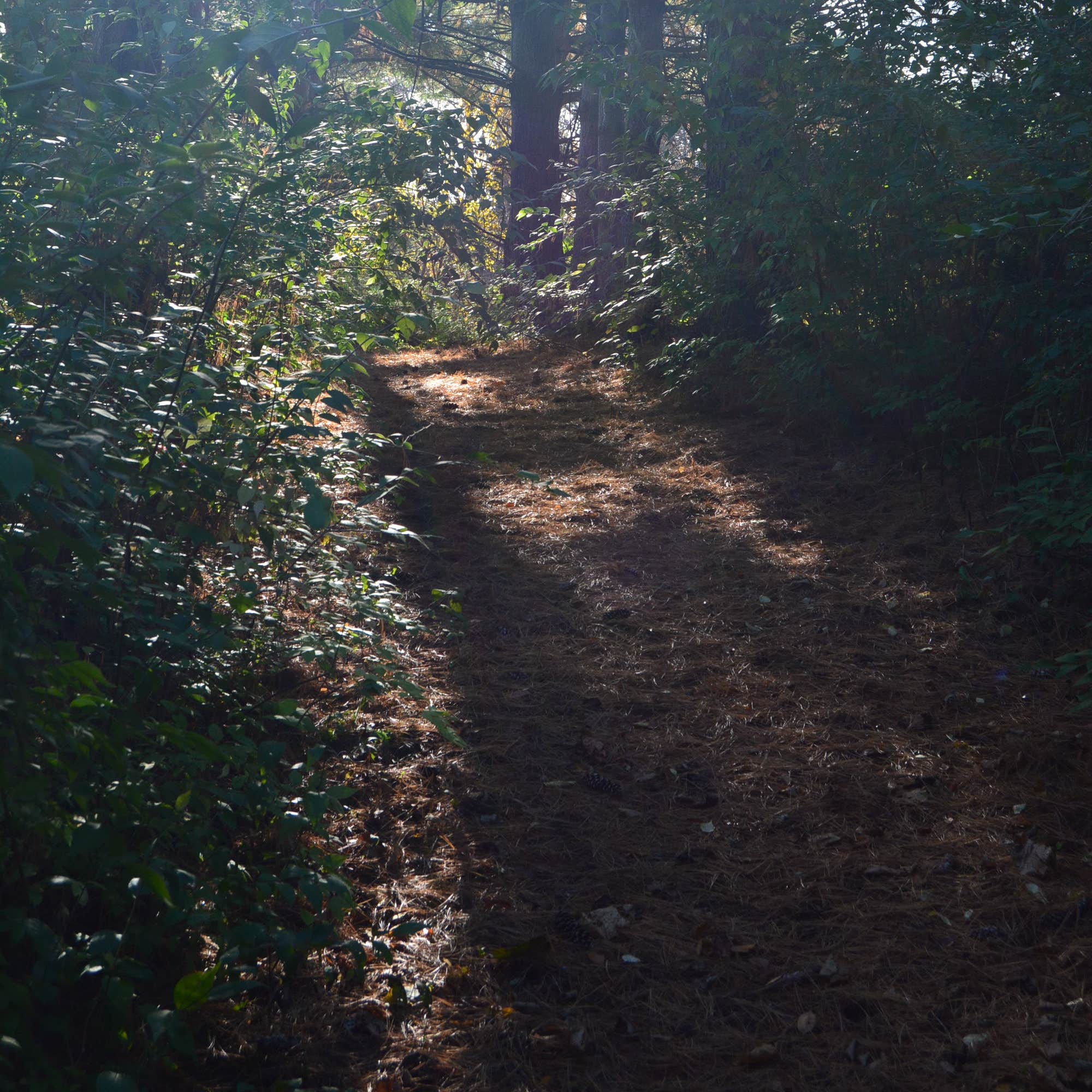 Park Terrace Campground West Lake Park Camping The Dyrt